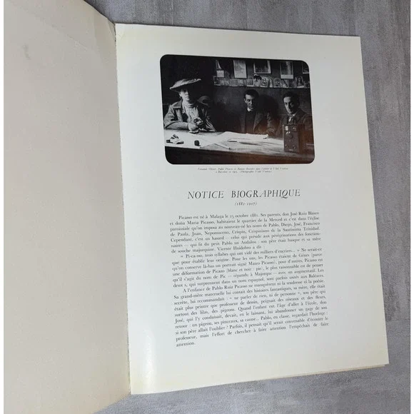Vintage Picasso Peintures Époques Bleue Et Rose 1947 Ziai Art Softcover French